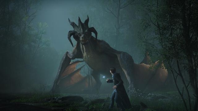 Hogwarts Legacy screenshot - facing a dragon with a magic stick ooo