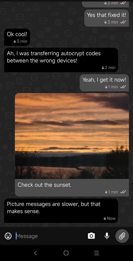 Delta Chat screenshot showing test messages and a test picture message.