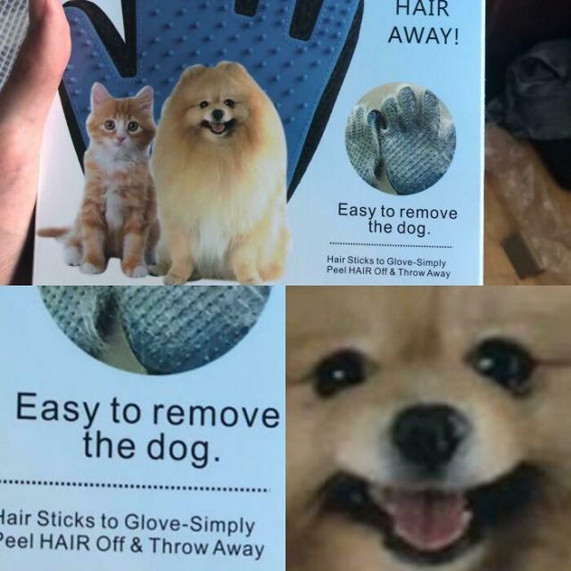 remove the dog