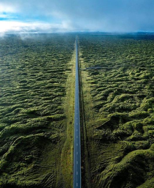Road of moss-covered lava

Location

: Iceland

@kevinpages_

Photo of straight road from above running through pic, on either side green bumps or undulations of green moss.