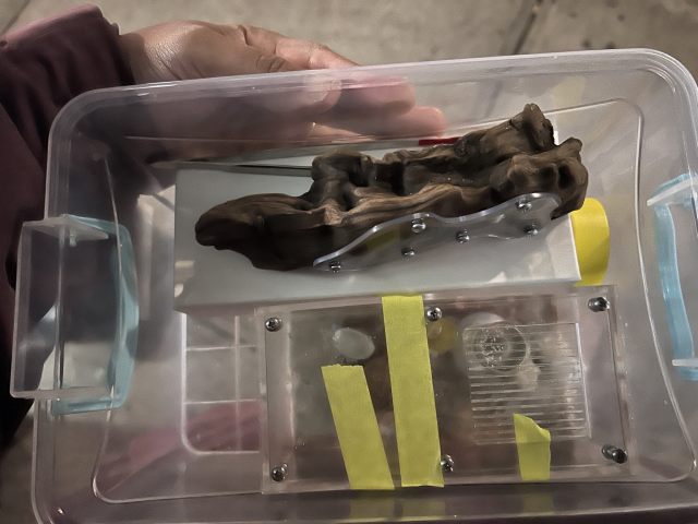 A plastic bin filled with ant formicarums 