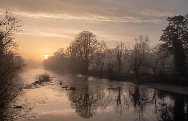 Sunrise over a river in winter. Bare trees reflected in the water.