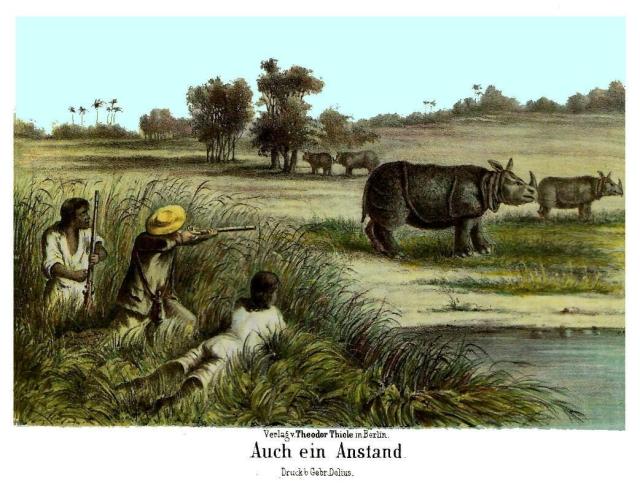 A painting from 1861 depicting the hunting of Javan rhinoceros (Rhinoceros sondaicus). Public Domain.
