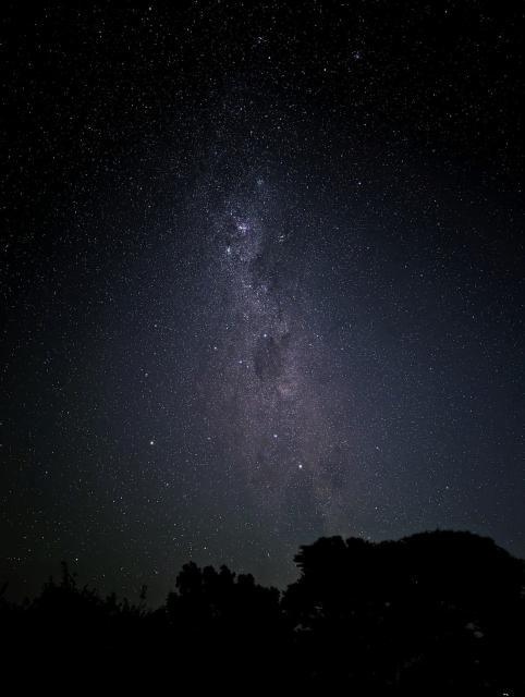 Stars at night. The Milky Way and the Coalsack Nebula (I believe) and shadowy trees at the bottom of the image. Taken with a pixel 6 pro in Astro mode.