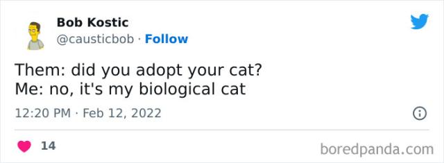 biological cat