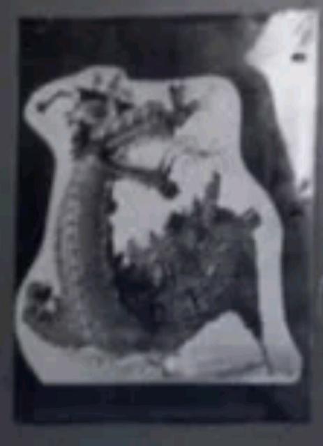 Closeup of the picture of a dragon attached to the office wall from the original image.