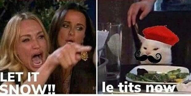 Angry women pointing at white cat meme.

Woman: LET IT SNOW!!

Cat wearing red beret and with a curly moustache: le tits now
