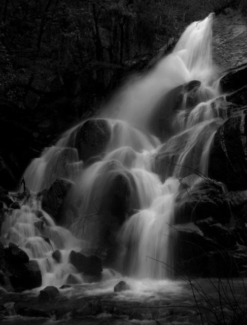 Waterfall In Black and White
As the title indicates, I chose to shoot this in black and white to highlight the contrast between the silky water and the rocks and dark forest. 
At the top of the image you can see where Wildcat Creek drops over the edge of the waterfall in a single stream until it starts to cascade over multiple large boulders. On the right side of the waterfall the rocks are larger and therefore the water seems to jump from one boulder to another.  As the falls fan out on the left the rocks are much smaller and the water seems to use these smaller rocks as steps. The waterfall has a dark forest flanking it.
