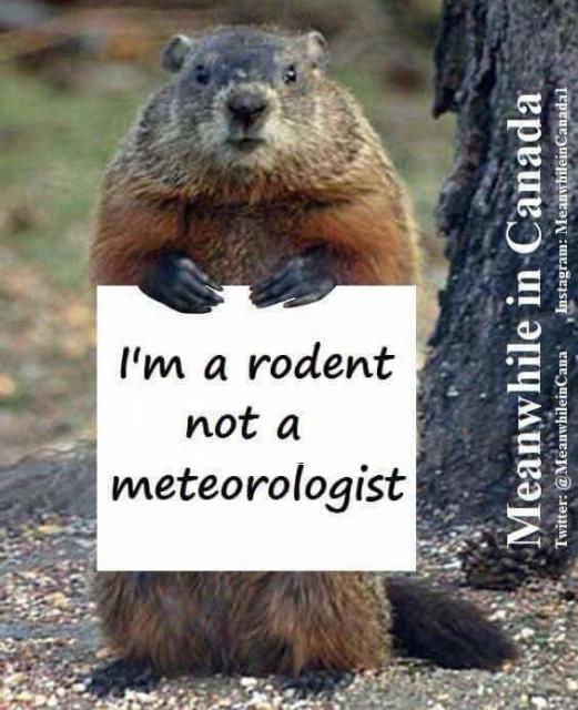 I'm a rodent
Not A
METEOROLOGIST 