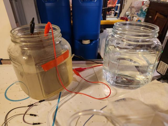 Picture of the old jar next to the new one. The new one is incredibly clear and clean looking by comparison. This picture was taken before I inoculated the new jar.