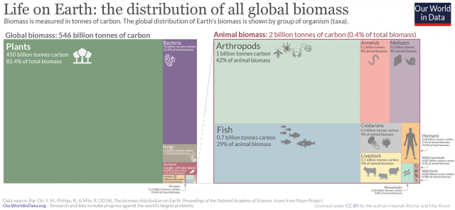 Chart from Our World in Data of Earth’s Biomass.

Plants dominate, followed by bacteria. The animal kingdom only accounts for 0.4% and humans 
for just 0.01%.