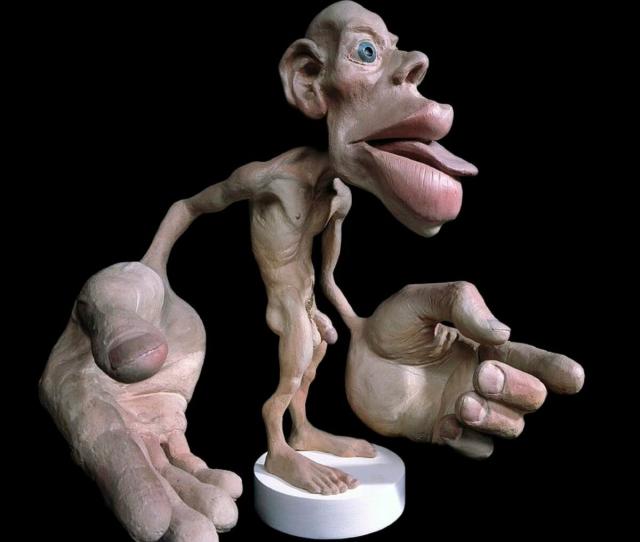 The sensory homunculus - a representation of the a brain's-eye view of the body where each part is sized according to how much space the brain gives to processing sensory information about it. The lips, tongue, hands are especially oversized. Credit Natural History Museum