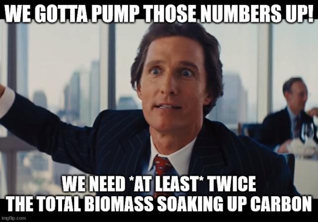 Matthew McConaughey looking wild eyed as he explains how the Earth needs more biomass.