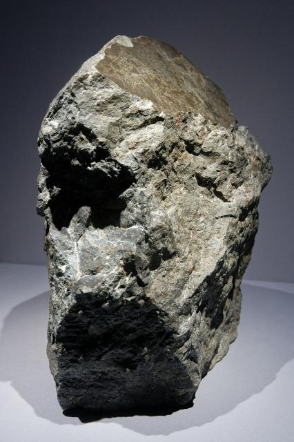 Fragment of the Ensisheim meteorite.

Galerie de Minéralogie et de Géologie du Muséum national d'histoire naturelle à Paris.