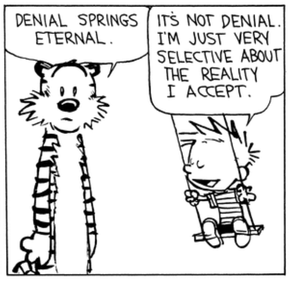 Hobbes: Denial springs eternal.
Calvin: It's not denial. I'm just very selective about the reality I accept.

The last panel in a Calvin and Hobbes comic by Bill Watterson. September 28, 1992