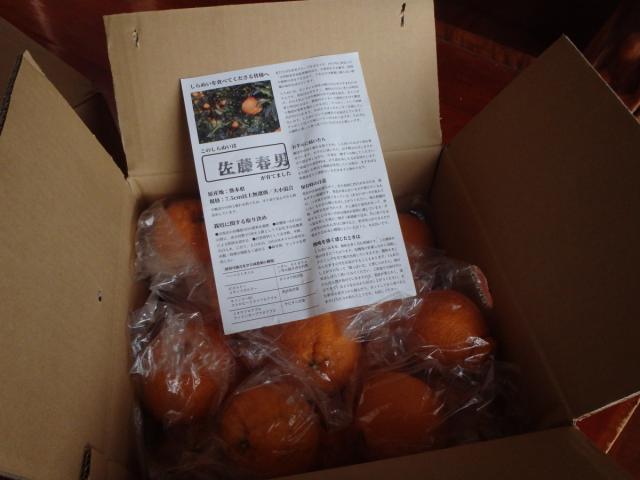 Digital Camera photo of a an  open box of fruit. A paper over some of the fruit shows the name of the fruits' farmer and an explanation in Japanese. 