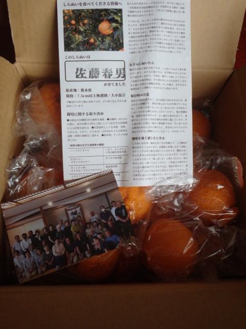 Another digital camera photo of the open box of Shirnaui fruits with the one-page print-out explanation and the photo of the producers laid over the individually-bagged large-sized oranges.