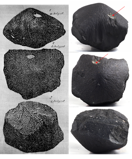 The Kaba Meteorite was observed to fall at Kaba, near Debrecen, Hungary, on April 15, 1857.

Mihály Nagy, CC BY-SA 4.0, via Wikimedia Commons.