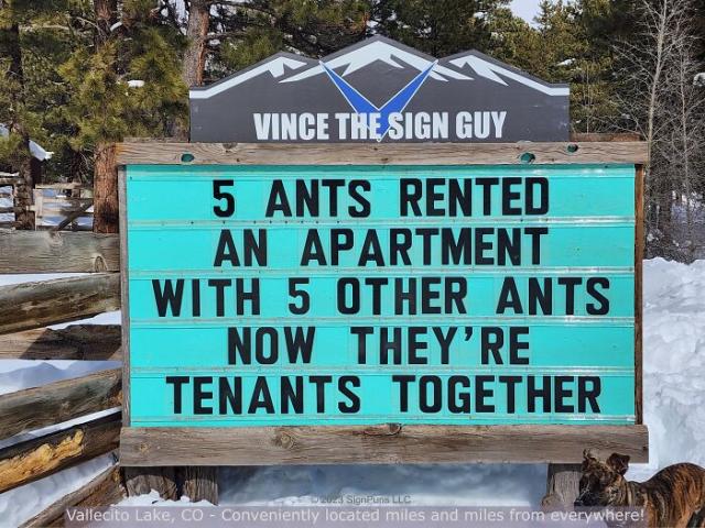 Ten ants
