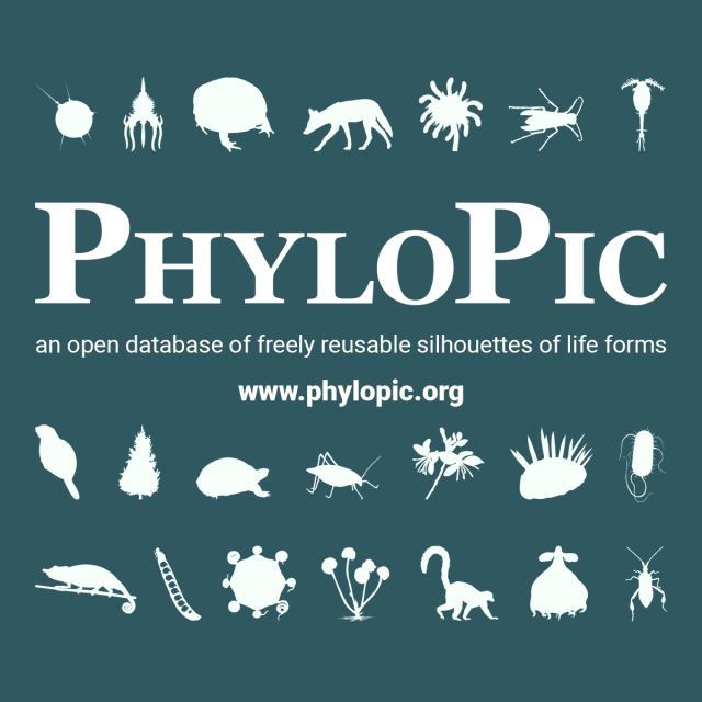PhyloPic: an open database of freely reusable silhouettes of life forms -- www.phylopic.org
