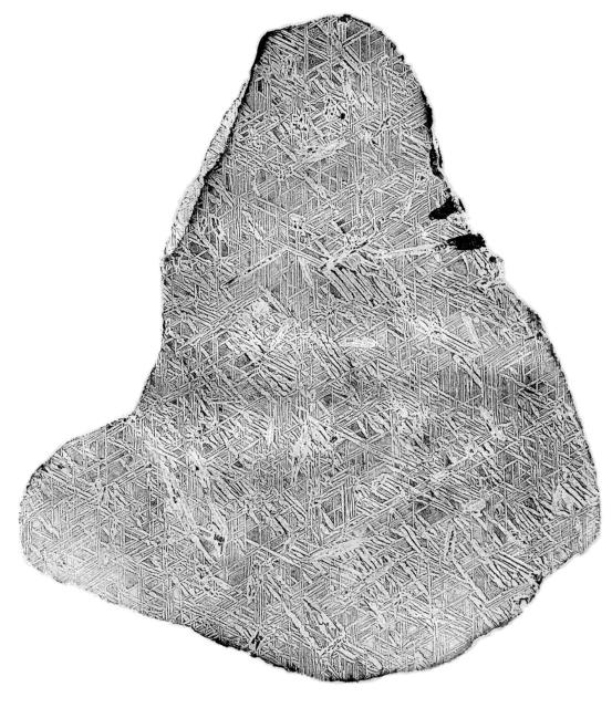 Drawing of an etched sliced of the Bewitched Burgrave or Elbogen (Loket) Iron Meteorite from von Schreibers book