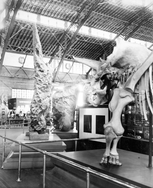 Gelatin silver prints of the Louisiana Purchase Exposition, St. Louis, Missouri, 1904 showing casts of the Bacubirito and Peary (Cape York) meteorites.