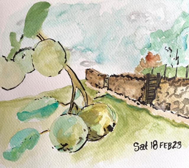 A watercolour in multitude shades of green. Under an apple tree looking up the hill where there is an earthen coloured flint stone wall with two black gates. Behind are rows of vines and beyond that trees. The sky is blue with hints of a storm brewing far away. 