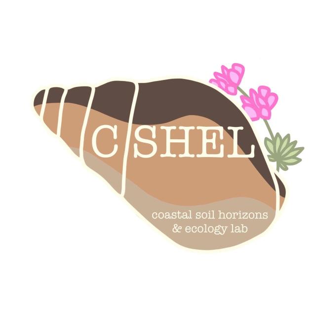 Logo for C-SHEL (coastal soil horizons and ecology lab) featuring a shell with brown layers representing soil horizons and a pink lupine. 