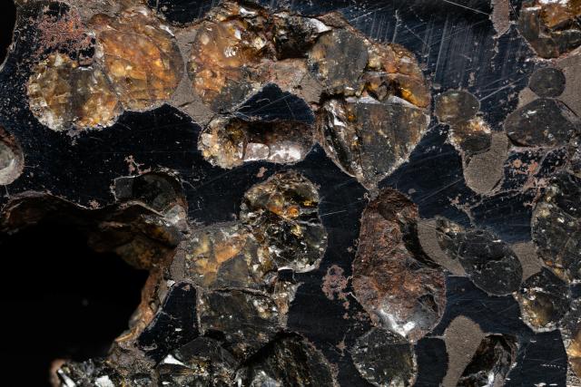 Detailed view of an unlabelled Pallasite from the Aukland Museum Geology Collection.

Accession Number: GE157. Auckland Museum 2019. Attribution 2.0 Generic (CC BY 2.0) https://flic.kr/p/2heyGiQ
