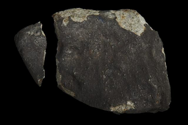 A fragment of the Homestead Meteorite that fell on February 12, 1875 in Iowa, USA.

Photographer: Rodney Start. Copyright Museums Victoria