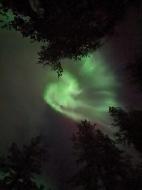 Northern lights from our yard.