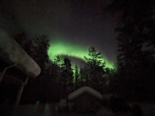Northern lights in our yard.