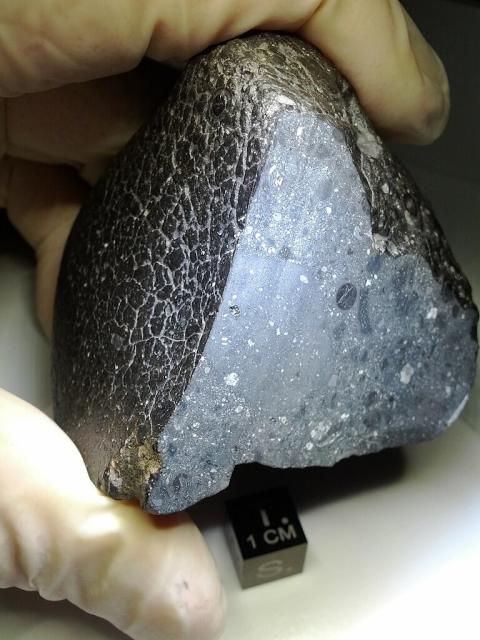 One of the most unique meteorites: "Black Beauty" (NWA 7034) Martian Basaltic Breccia.

Although I could never find thin sections of this particular one, I was able to acquire related ones: NWA 11220 and NWA 8171.