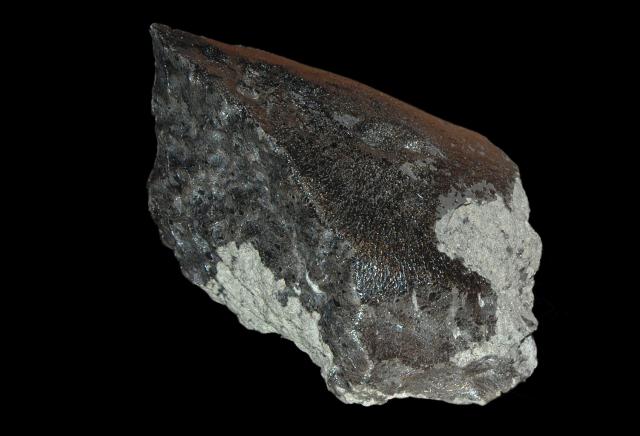 The Tissint Meteorite was observed to fall on July 18, 2011 in Morocco.

Tissint meteorite at the Vienna Natural History Museum. Flickr via paleobear https://flic.kr/p/2cLbcDv