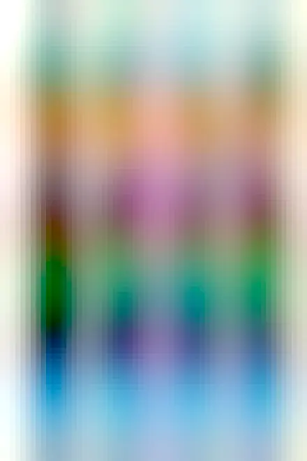 Image of Turner's book cover, reads "How To Be A Climate Optimist: Blueprints For A Better World by Chris Turner, winner of the National Business Book Award"