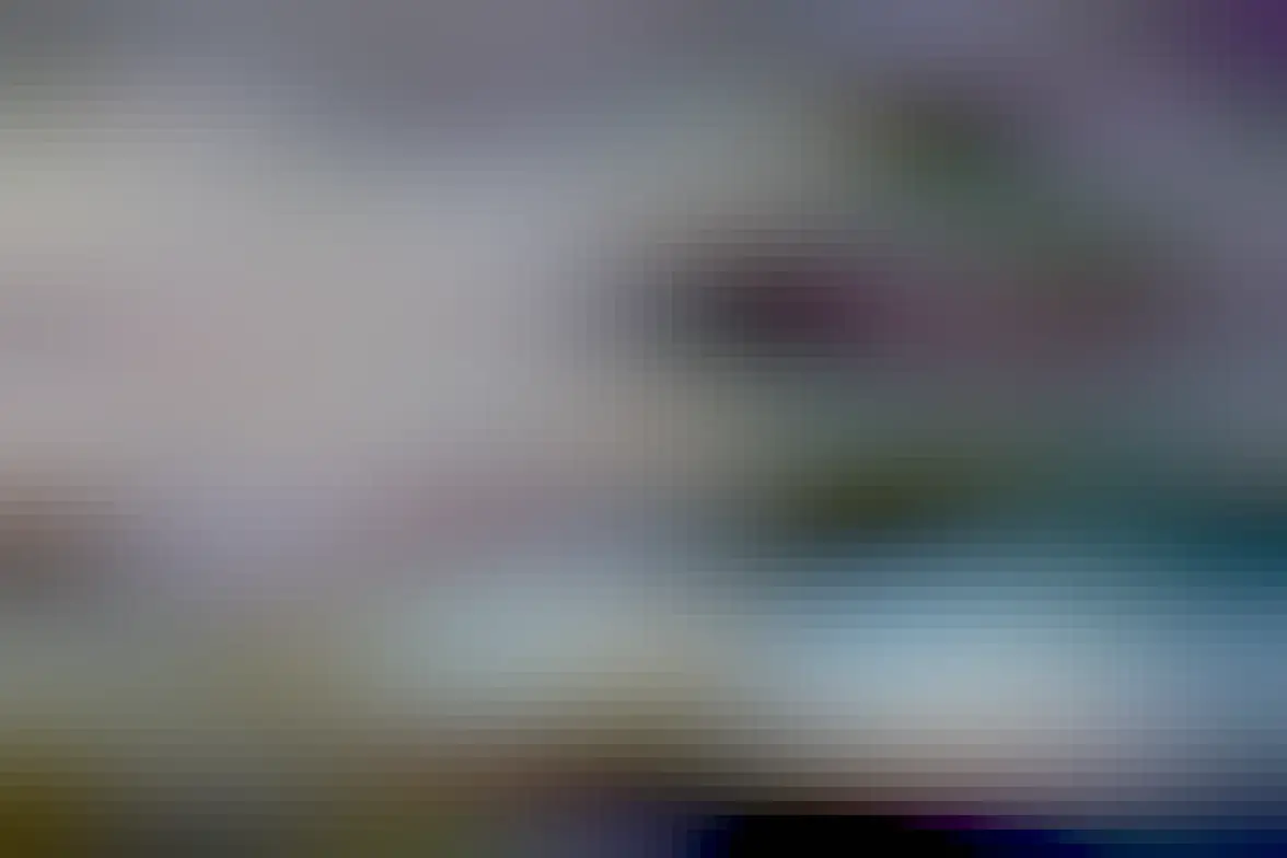 A photo of a common Redpoll (Acanthis flammea) perching in the last rays of sun on a windswept manuka, as dark clouds approach. On Pearl Island, Port Pegasus / Pikihatiti, at the Southern end of Stewart Island / Rakiura, New Zealand.