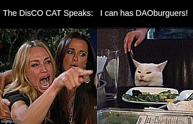 Cat terrifying two Karens meme