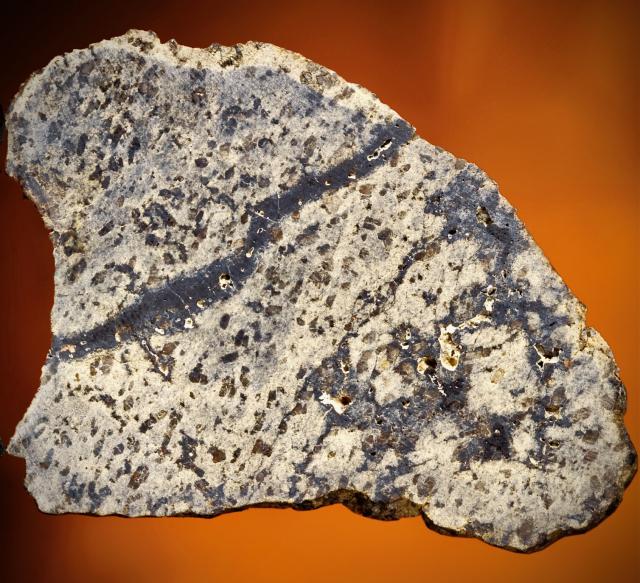 Slice of the DaG 1037 Martian Meteorite.

Flickr via Steve Jurvetson