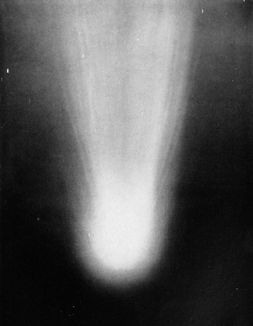 "Head of Halley's Comet, May 8, 1910; Reduced from Photograph taken at the Mt. Wilson Solar Observatory," from "A Beginner's Star-Book" by Edgar Murphy (1912). Color and cropping edits.