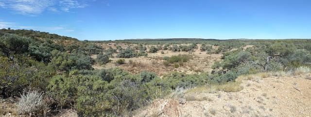 Panoramic view of the Boxhole Impact Crater, Northern Territory, Australia. ~170 meters in diameter, 5400±1500 years old.

Summerdrought, CC BY-SA 3.0, via Wikimedia Commons.